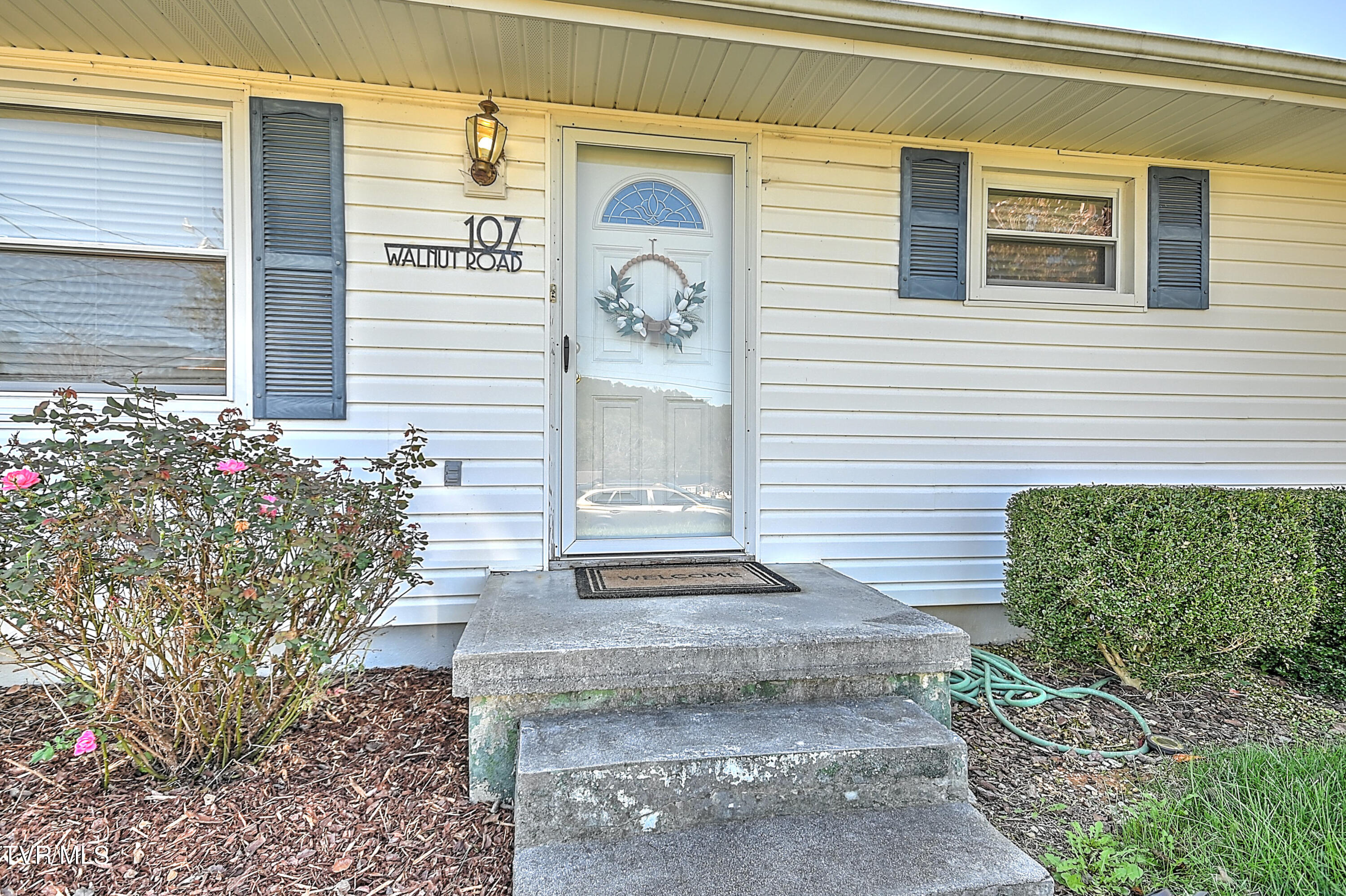 107 Walnut Road Bristol, TN 37620 - Photo 3 of 35 107 Walnut Gdawg-5