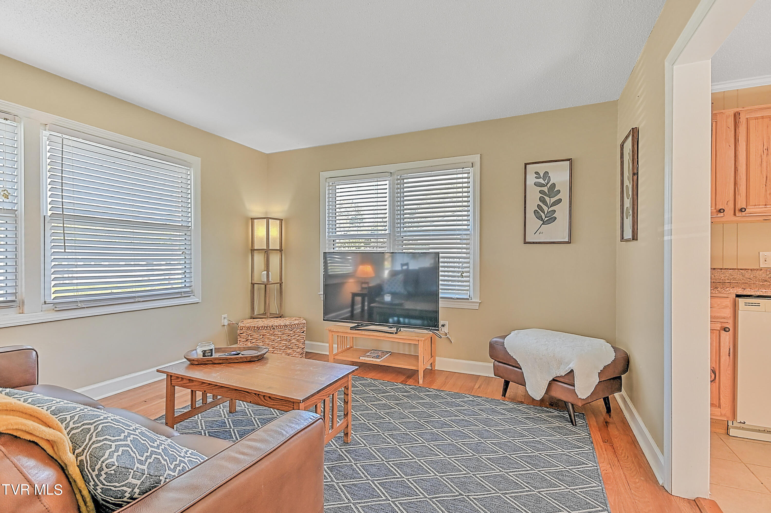 107 Walnut Road Bristol, TN 37620 - Photo 5 of 35 107 Walnut Gdawg-12