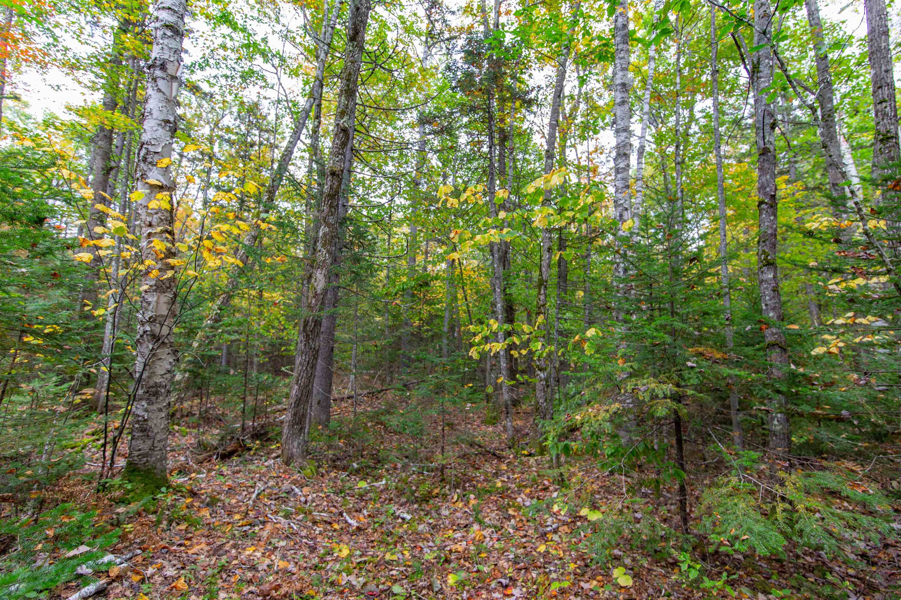 85 Locke Falls Road Tamworth, NH 03897 - Photo 21 of 22 Gallery Image 21