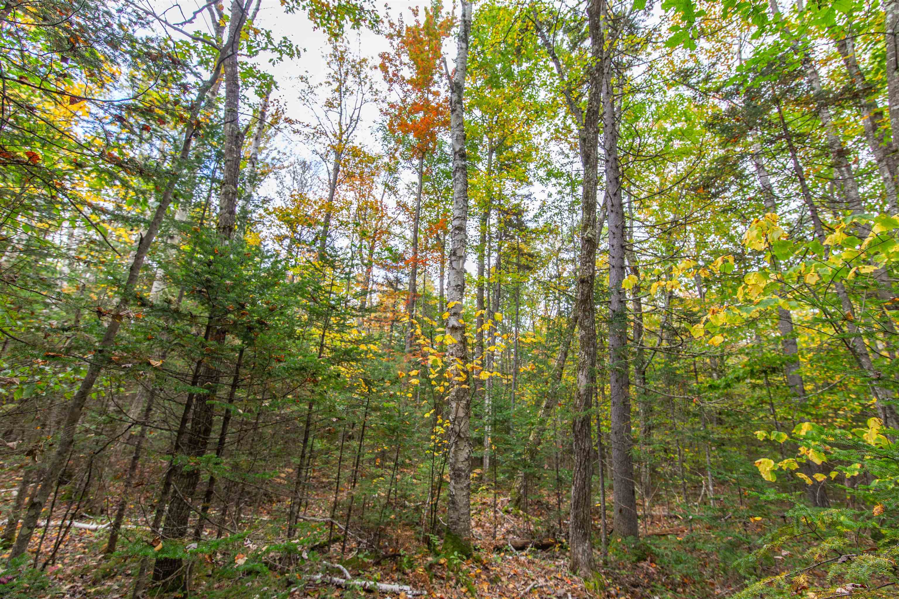 85 Locke Falls Road Tamworth, NH 03897 - Photo 4 of 22 Gallery Image 4