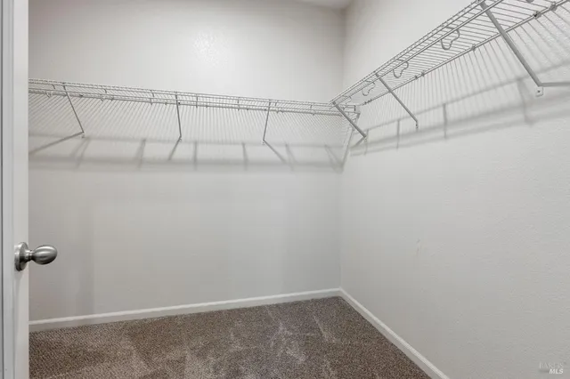 a view of backyard with potted plants