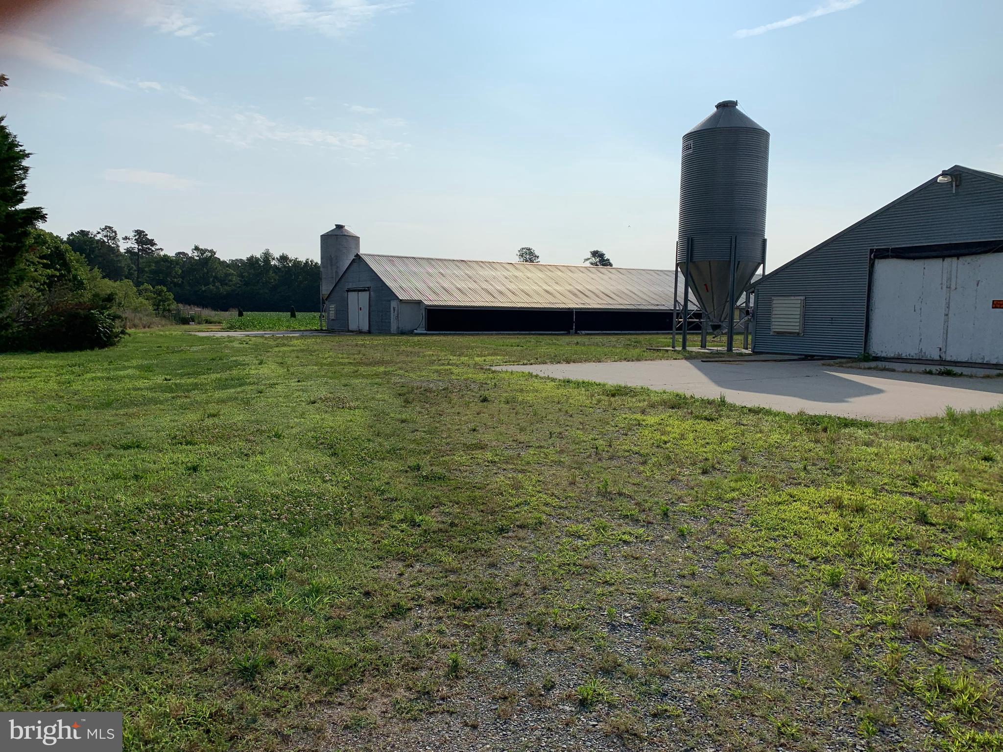 1502 Boston Road Pocomoke City, MD 21851 - Photo 3 of 9 Gallery Image 3