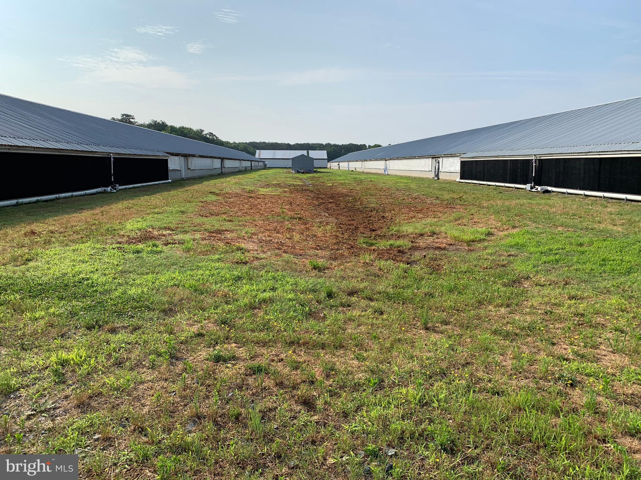 1502 Boston Road Pocomoke City, MD 21851 - Photo 6 of 9 Gallery Image 6