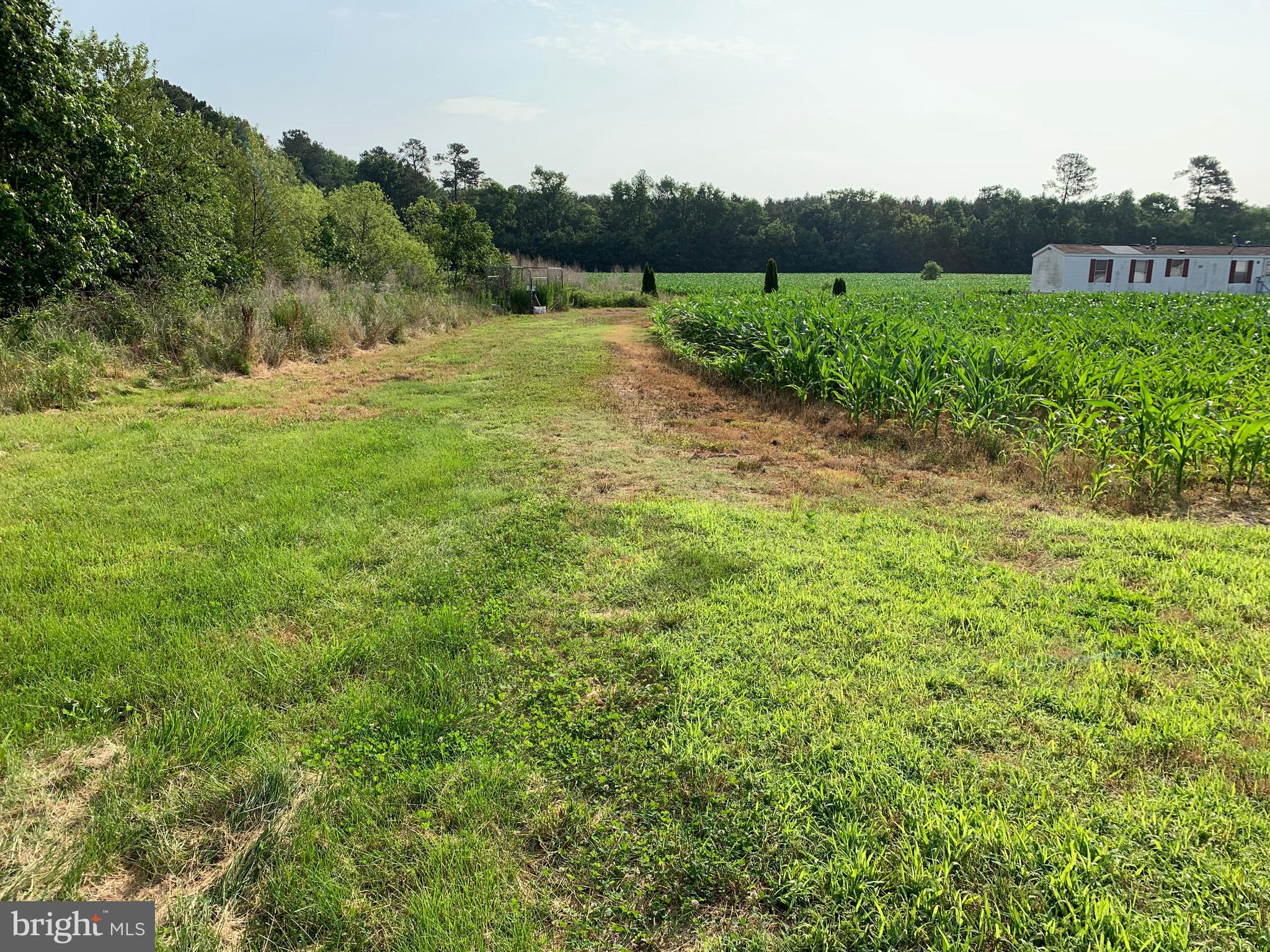 1502 Boston Road Pocomoke City, MD 21851 - Photo 8 of 9 Gallery Image 8