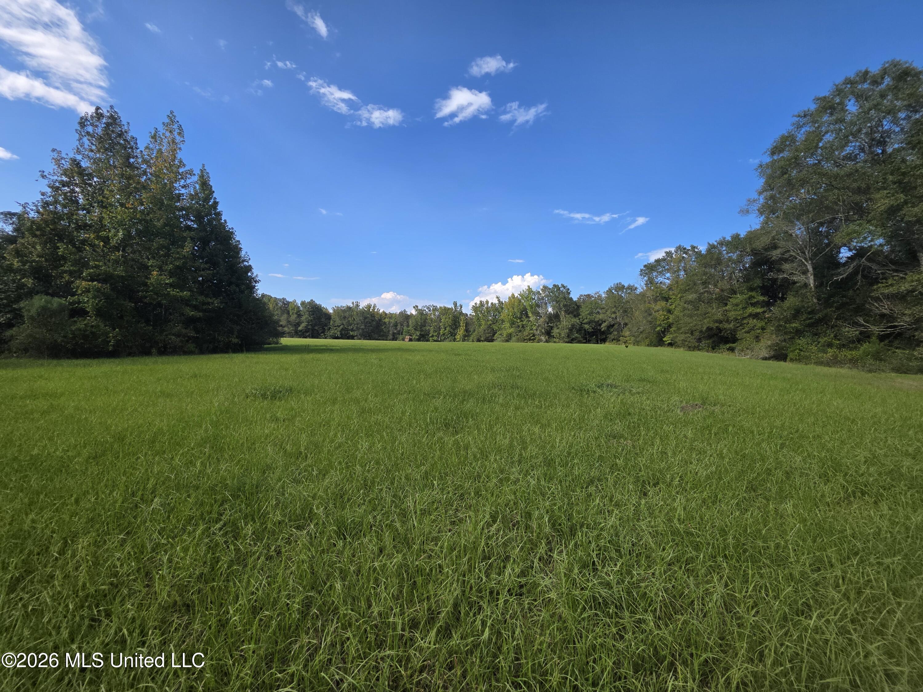 Busby Trail Brookhaven, MS 39601 - Photo 21 of 24 42727