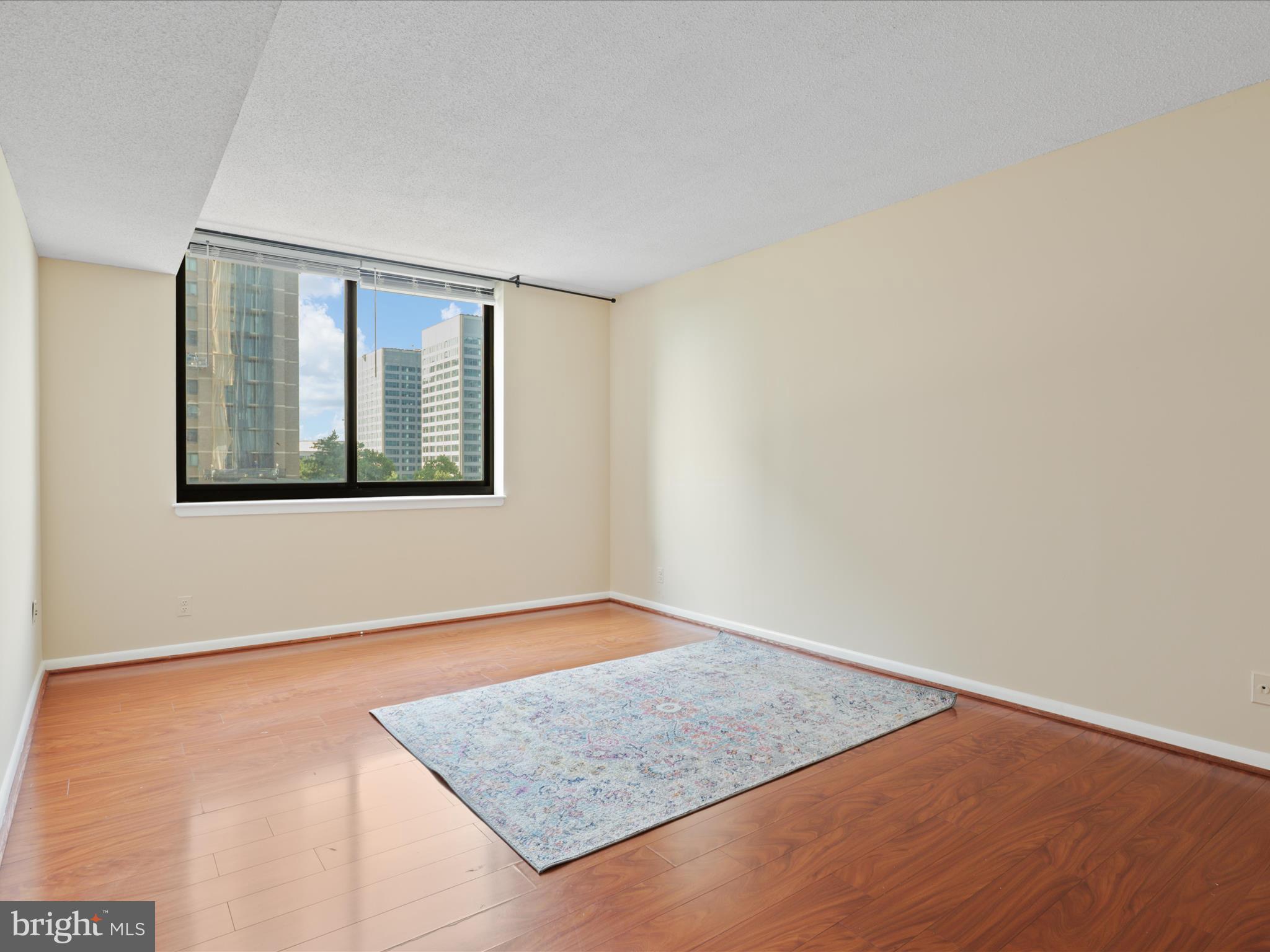 5501 Seminary Road, Unit 603S Falls Church, VA 22041 - Photo 29 of 44 Gallery Image 29