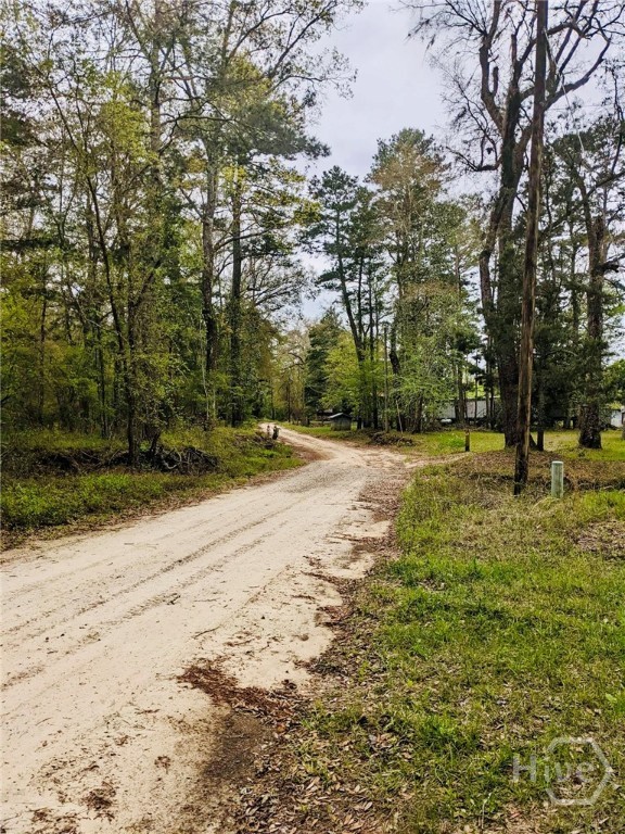 0 Spikes Road Reidsville, GA 30453 - Photo 10 of 10