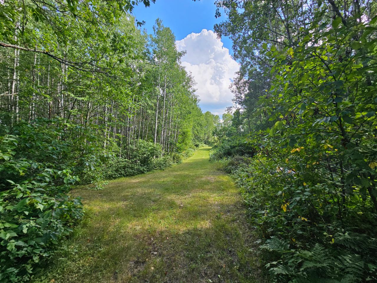 9423 Rocky Run Road Harshaw, WI 54529 - Photo 51 of 83 Gallery Image 51