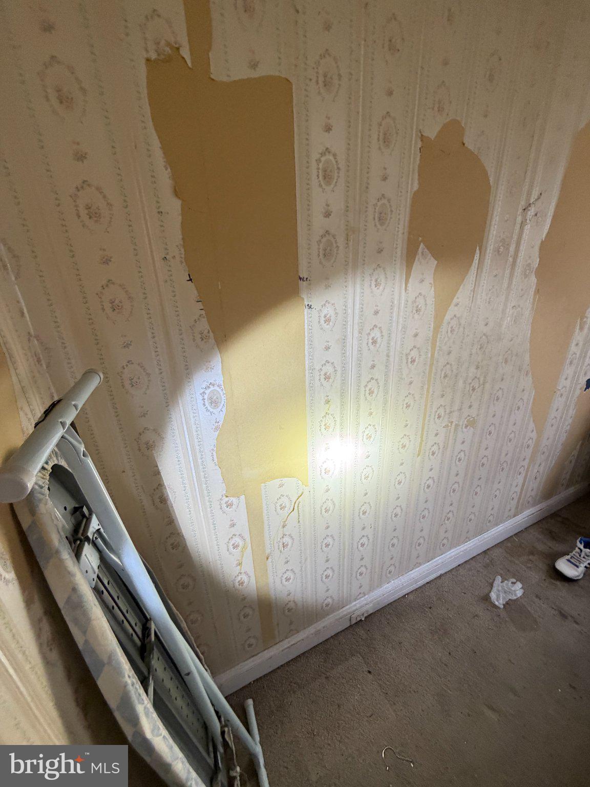244 Cambridge Road Clifton Heights, PA 19018 - Photo 32 of 33 Faded charm in need of revival.