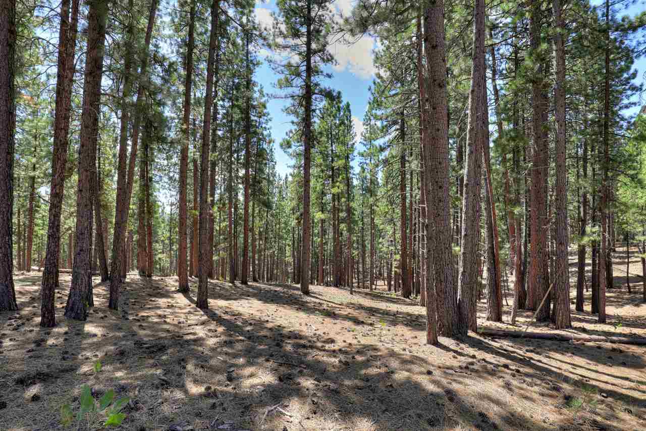16801 Robertson Road Truckee, CA 96161 - Photo 12 of 21