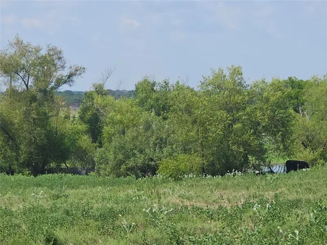 a view of a green field with sky view