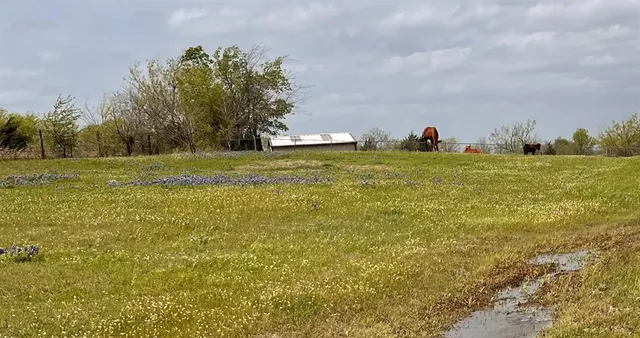 a view of a green field