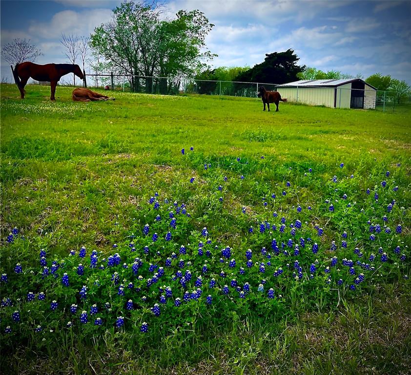 810 Cody Road Ennis, TX 75119 - Photo 30 of 31 a view of a green field