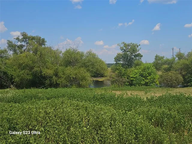 a view of a field of grass and trees