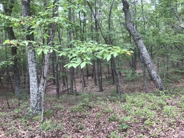 480 Liberty Road Penhook, VA 24137 - Photo 13 of 32 4525F21B-D65E-4D12-B947-591930BD94C3