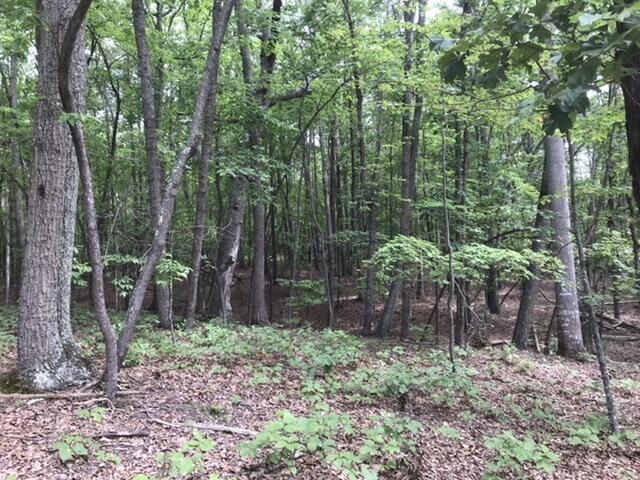 480 Liberty Road Penhook, VA 24137 - Photo 29 of 32 5F1CE425-19CF-4011-BE88-46378FAF2973