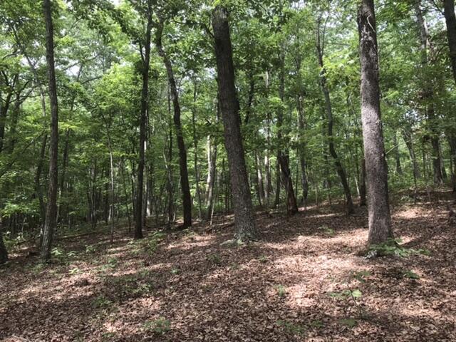 480 Liberty Road Penhook, VA 24137 - Photo 3 of 32 4C293C0A-B554-4459-9F80-0BB5771029AB