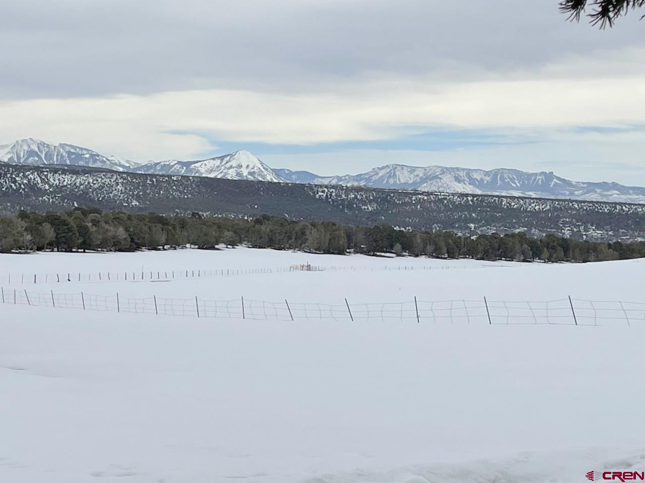 26340 Cactus Park Road Cedaredge, CO 81413 - Photo 28 of 31 Gallery Image 28