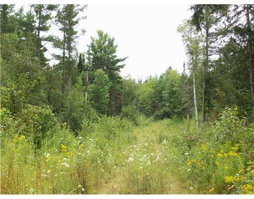 0 Off Lake Road Levant, ME 04456 - Photo 6 of 9 Land.