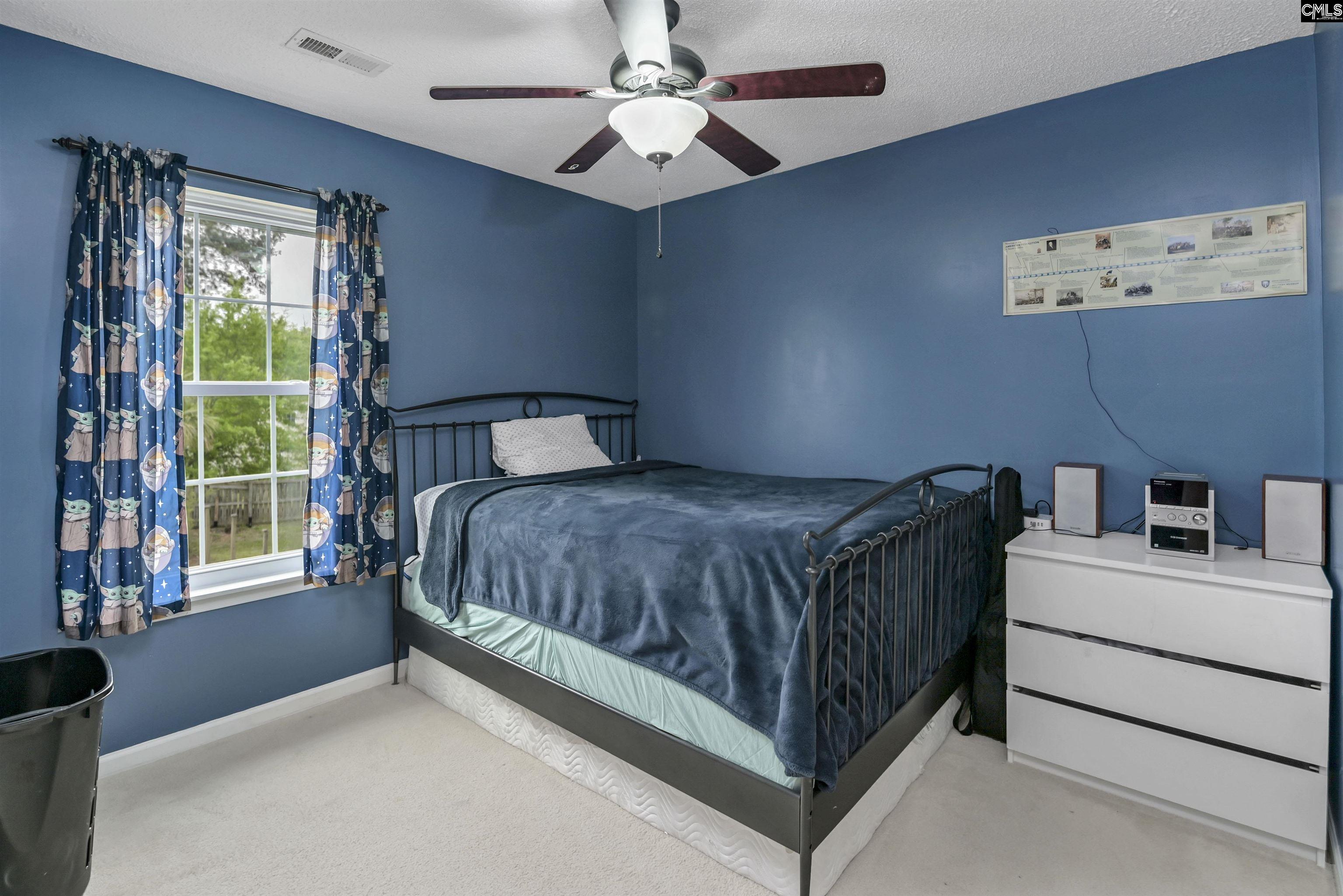 116 Wingspan Way Chapin, SC 29036 - Photo 26 of 34