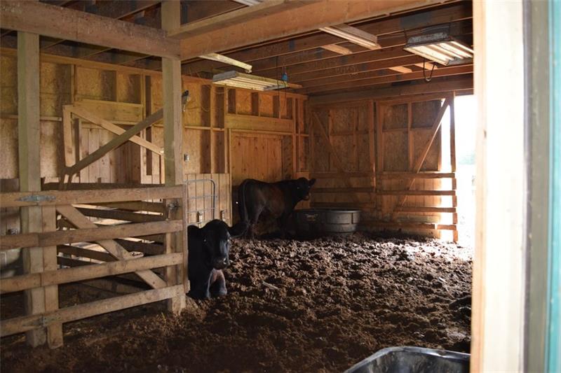 51 5 Points Road Sandy Lake, PA 16145 - Photo 21 of 25