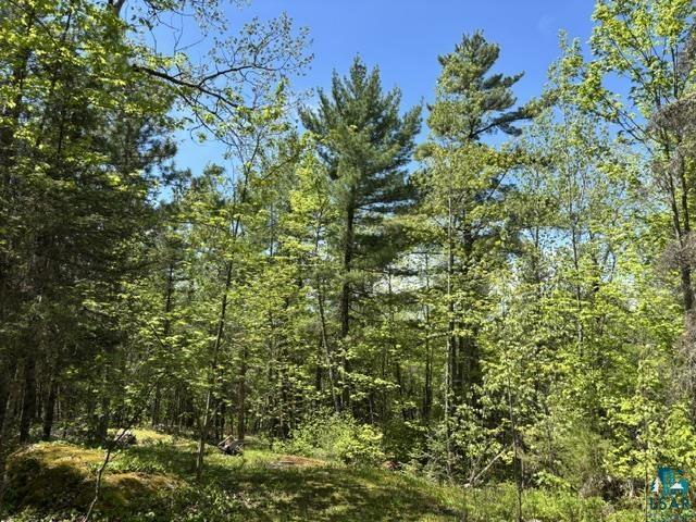 5049 Big Lake Road Ely, MN 55731 - Photo 8 of 14