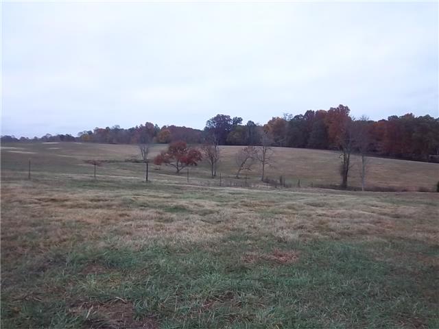 5191 Abednego Road Greenbrier, TN 37073 - Photo 12 of 16 Gallery Image 12