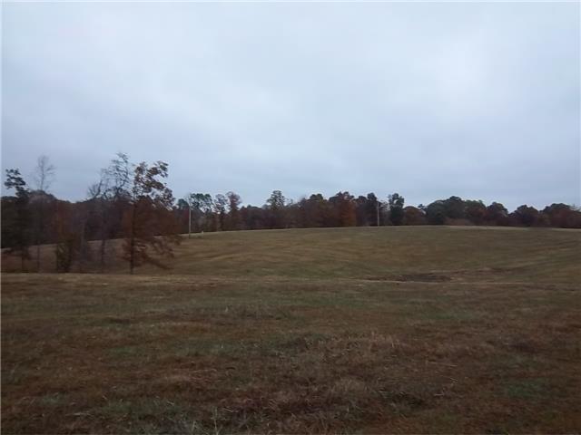 5191 Abednego Road Greenbrier, TN 37073 - Photo 7 of 16 Gallery Image 7