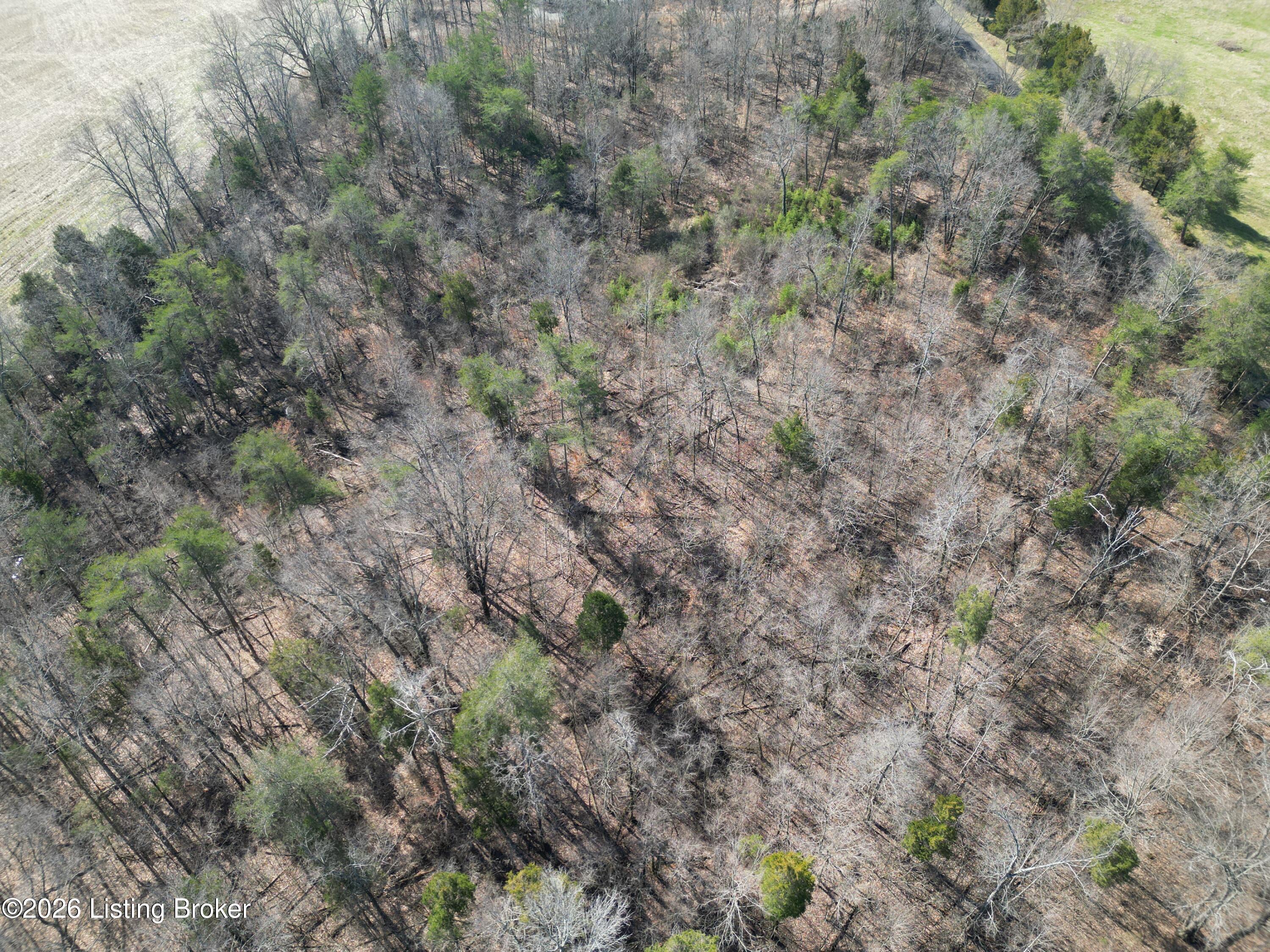 Lot 2 Shores Rd Falls Falls Of Rough, KY 40119 - Photo 5 of 15 123