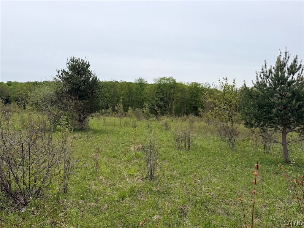 Reynolds Road Franklinville, NY 14737 - Photo 31 of 38