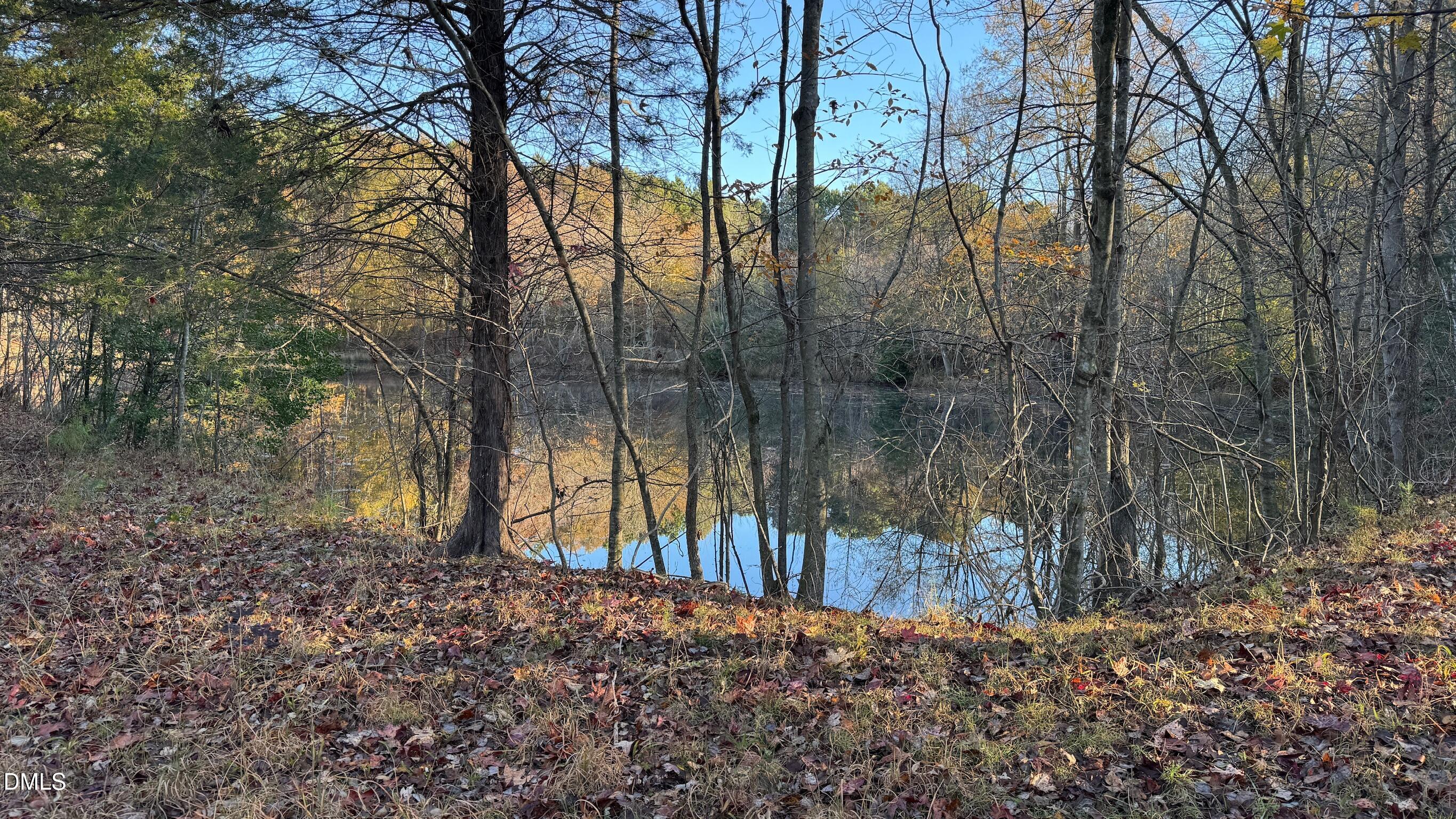 1604 Bonlee School Road Bear Creek, NC 27207 - Photo 11 of 71 IMG_5272