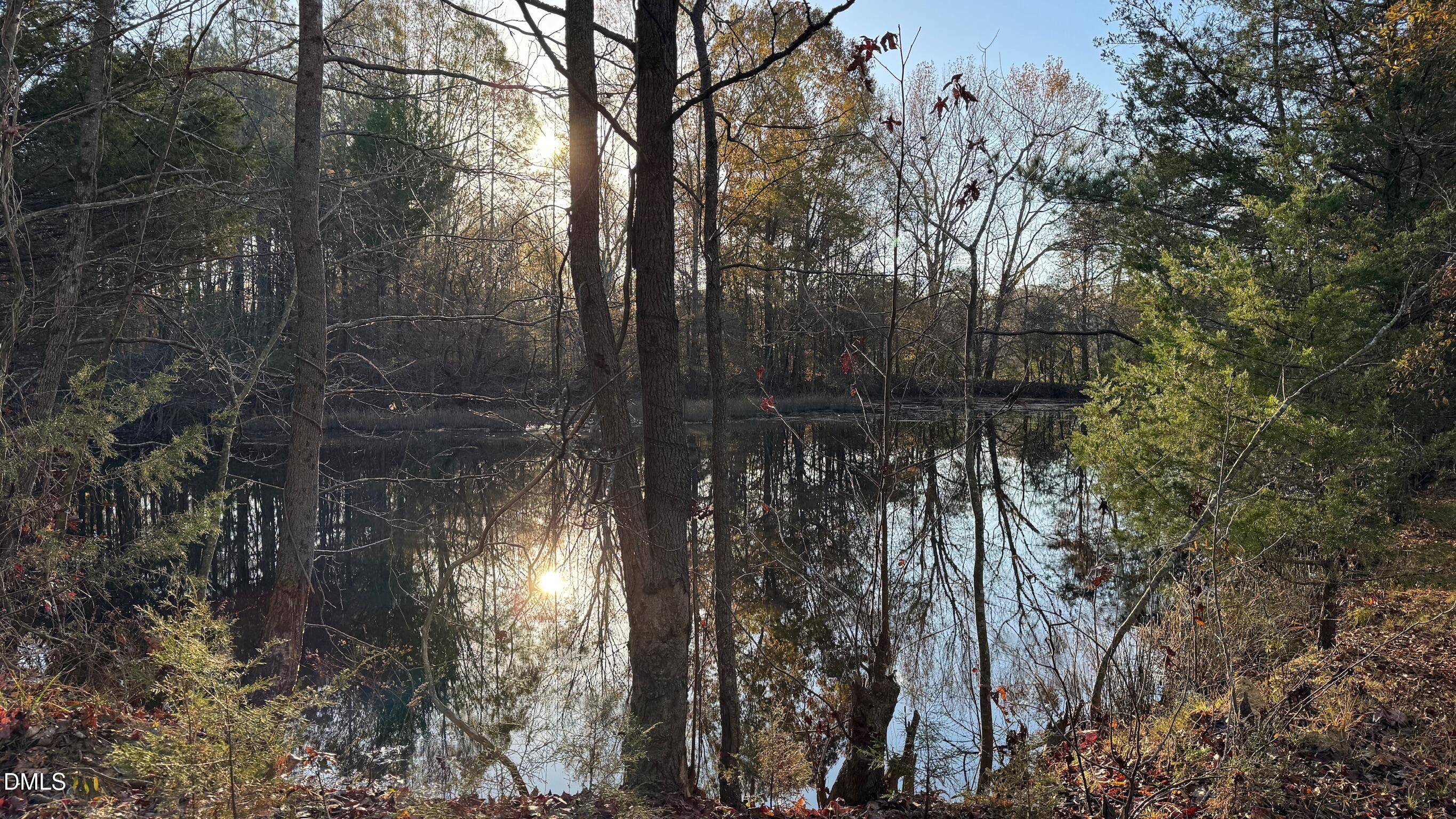 1604 Bonlee School Road Bear Creek, NC 27207 - Photo 12 of 71 a backyard of a house with lots of green space