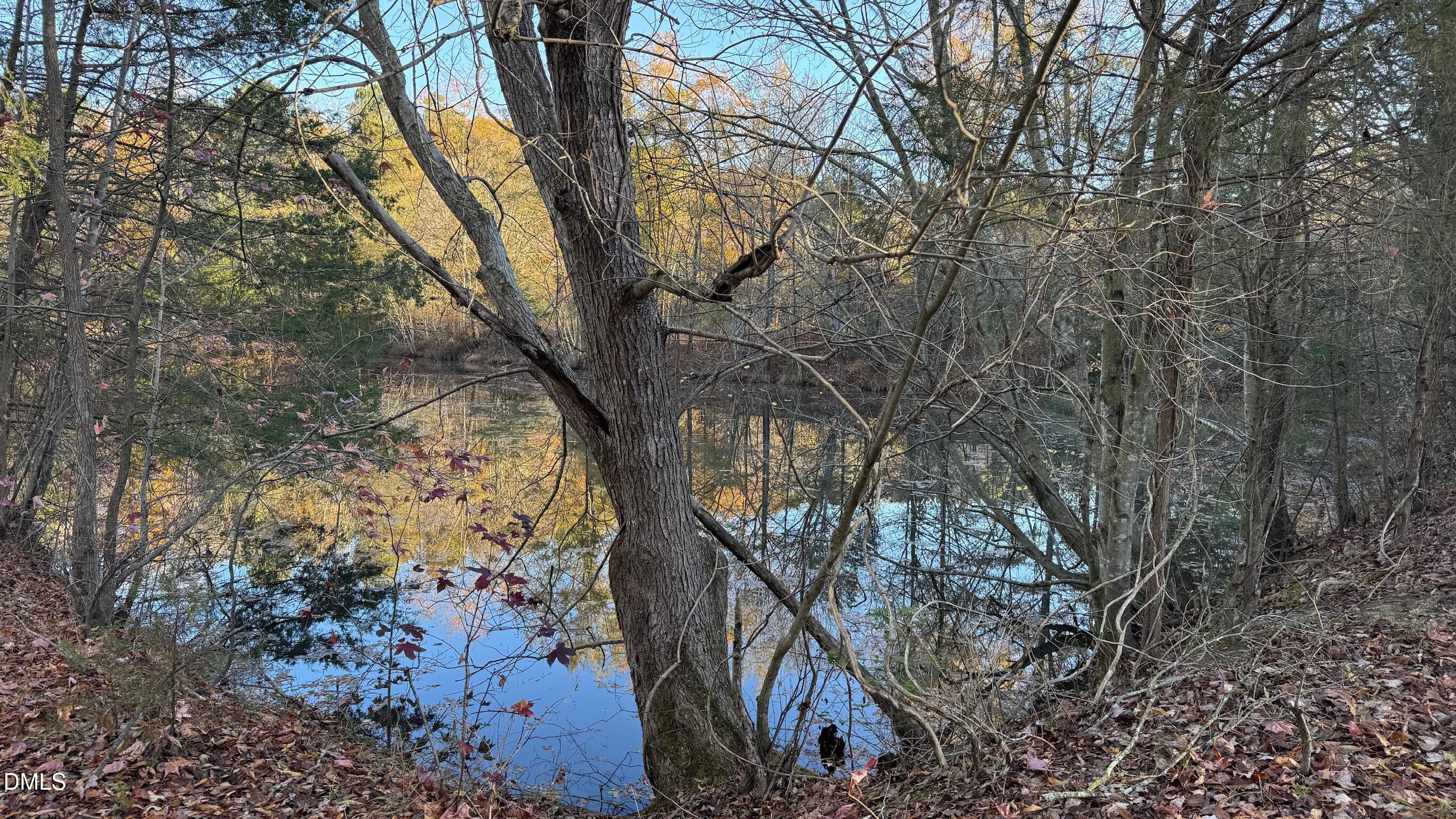 1604 Bonlee School Road Bear Creek, NC 27207 - Photo 13 of 71 IMG_5274