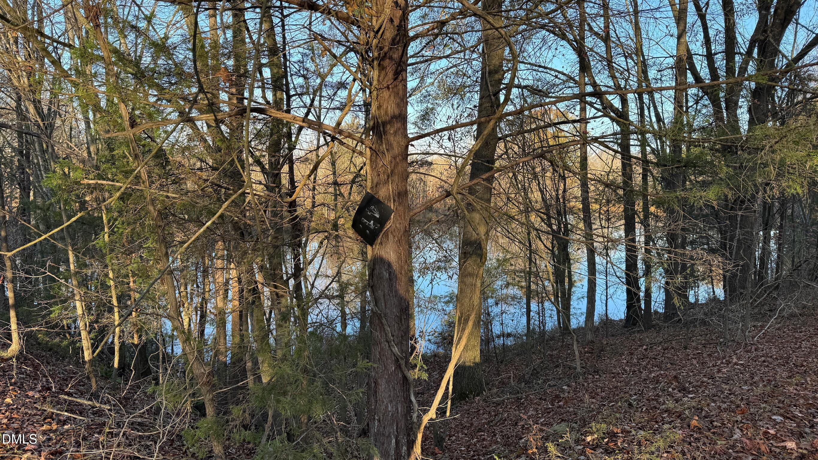 1604 Bonlee School Road Bear Creek, NC 27207 - Photo 14 of 71 IMG_5275