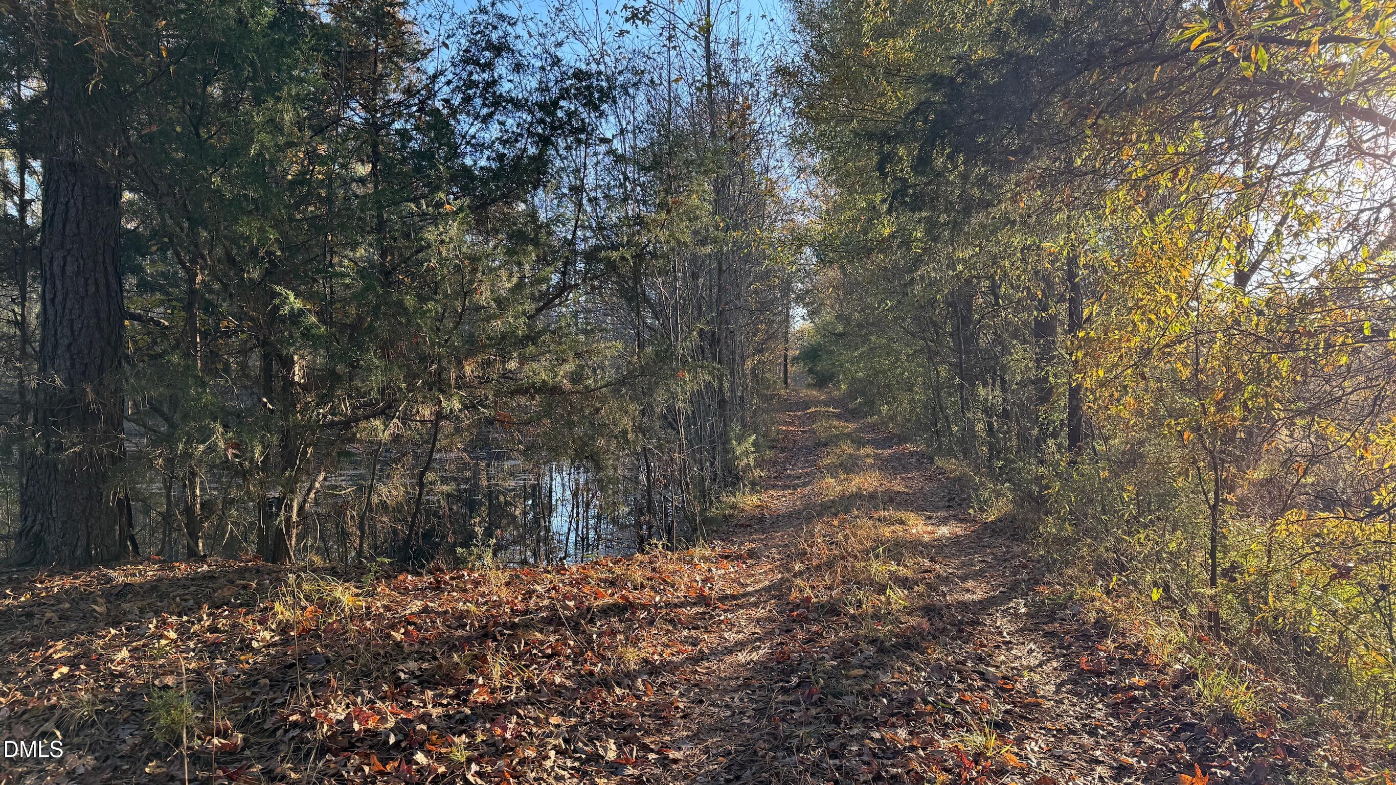 1604 Bonlee School Road Bear Creek, NC 27207 - Photo 18 of 71 a view of a forest with trees