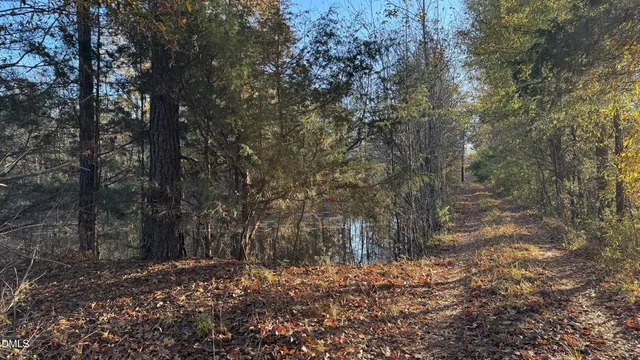 a view of a outdoor space