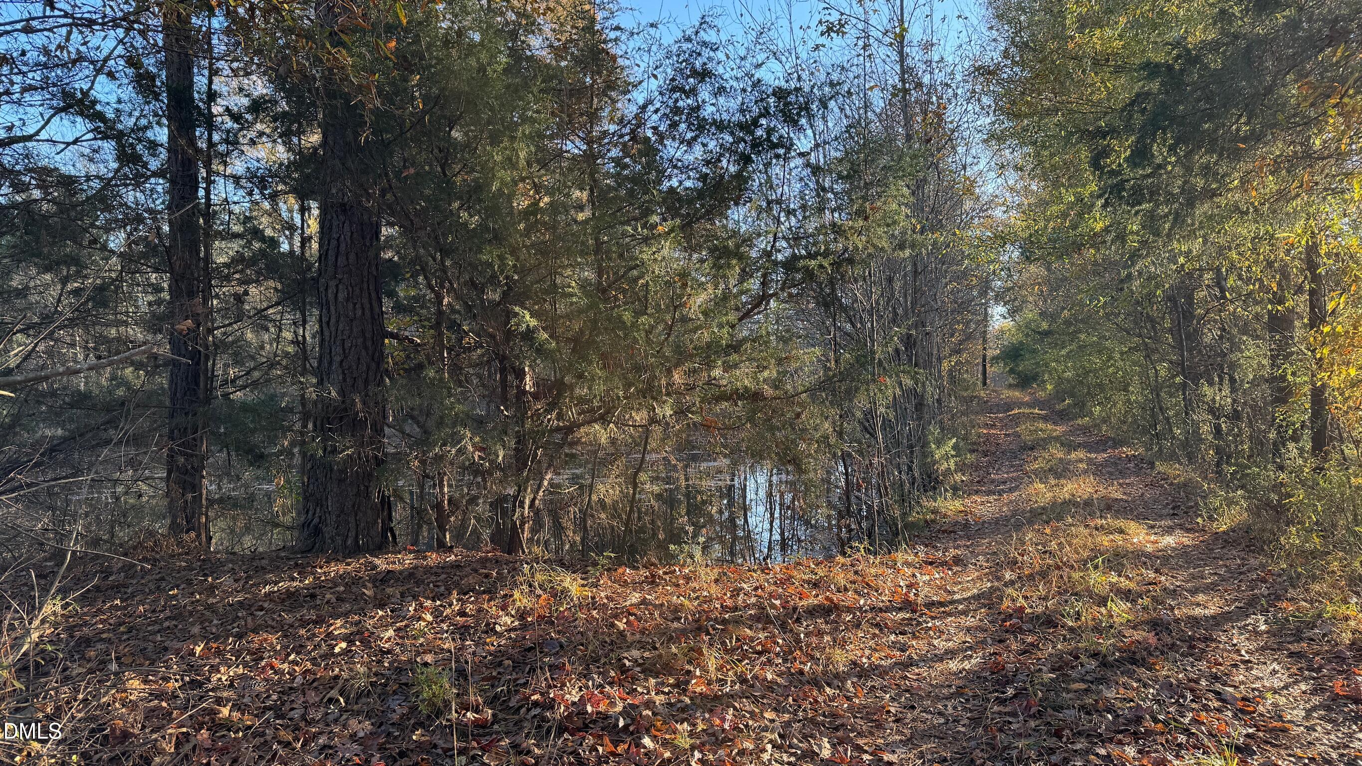 1604 Bonlee School Road Bear Creek, NC 27207 - Photo 19 of 71 a backyard of a house with lots of green space