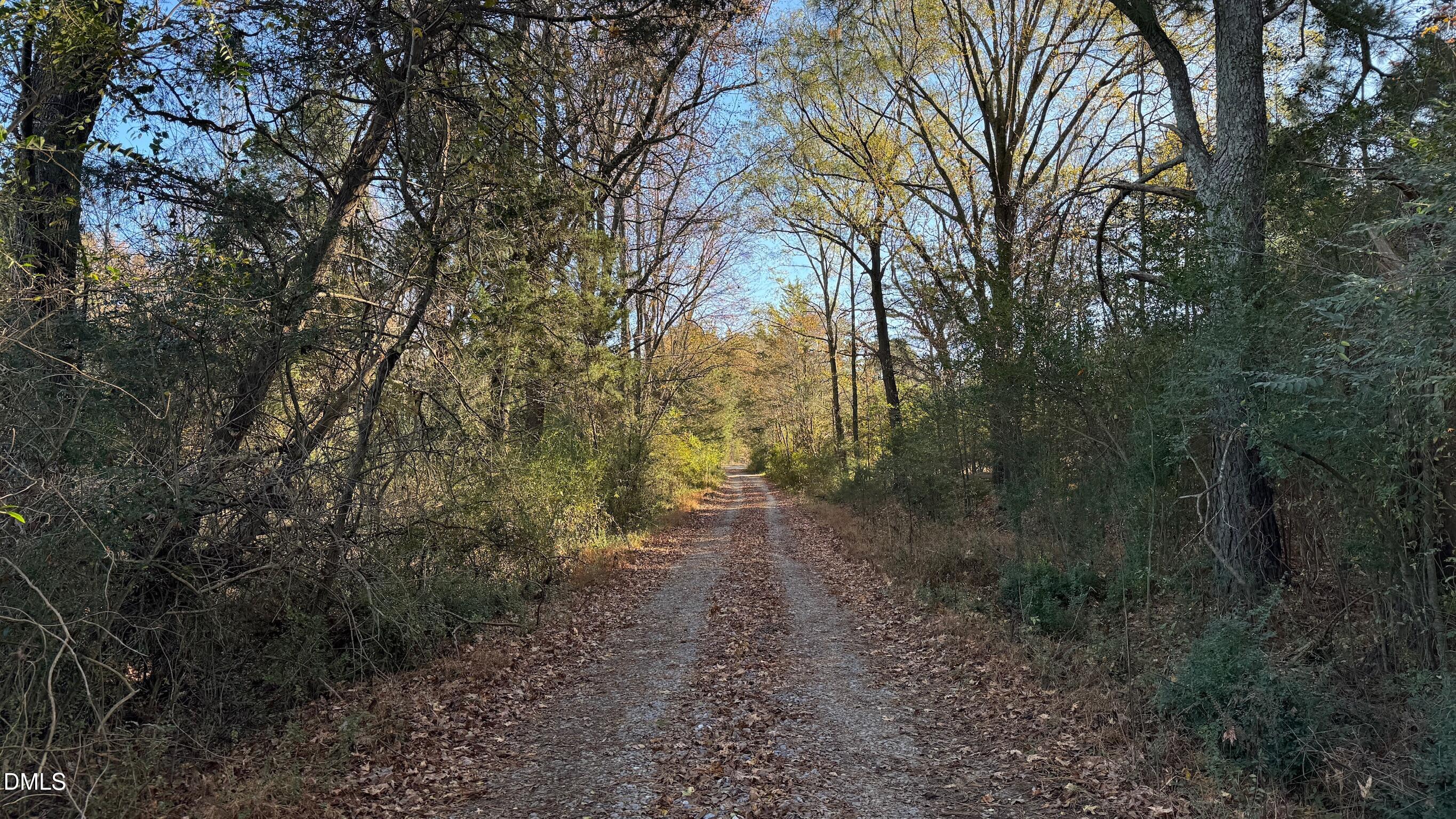 1604 Bonlee School Road Bear Creek, NC 27207 - Photo 20 of 71 a view of a forest with trees in the background