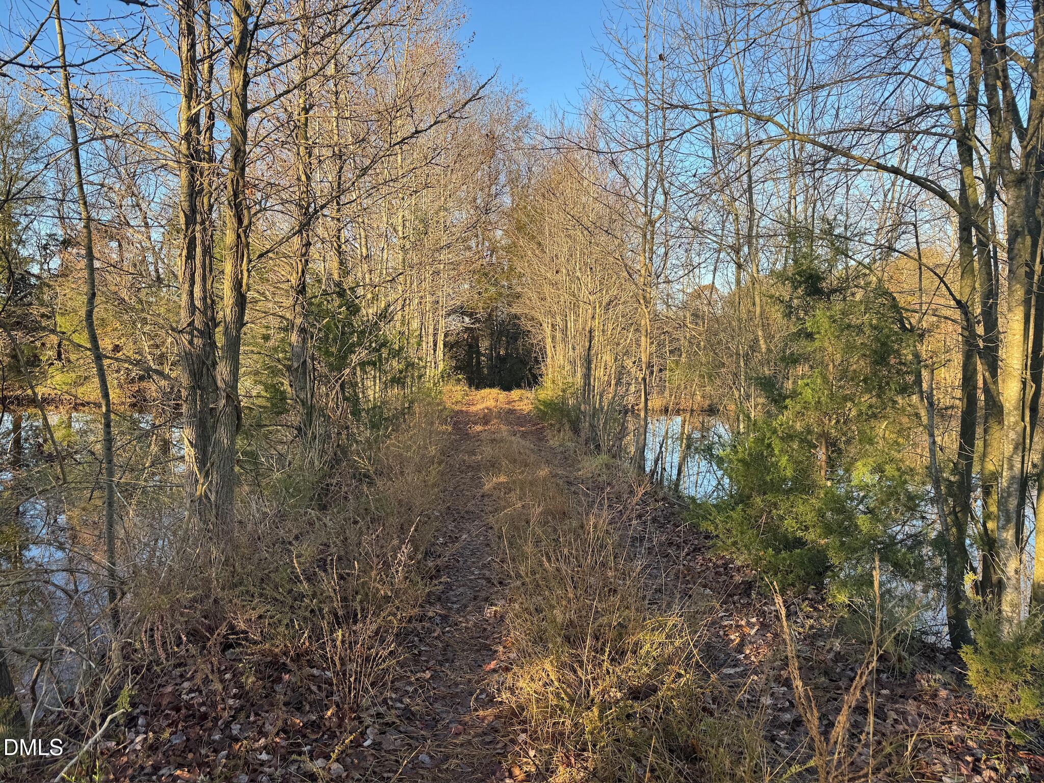 1604 Bonlee School Road Bear Creek, NC 27207 - Photo 22 of 71 a view of a yard