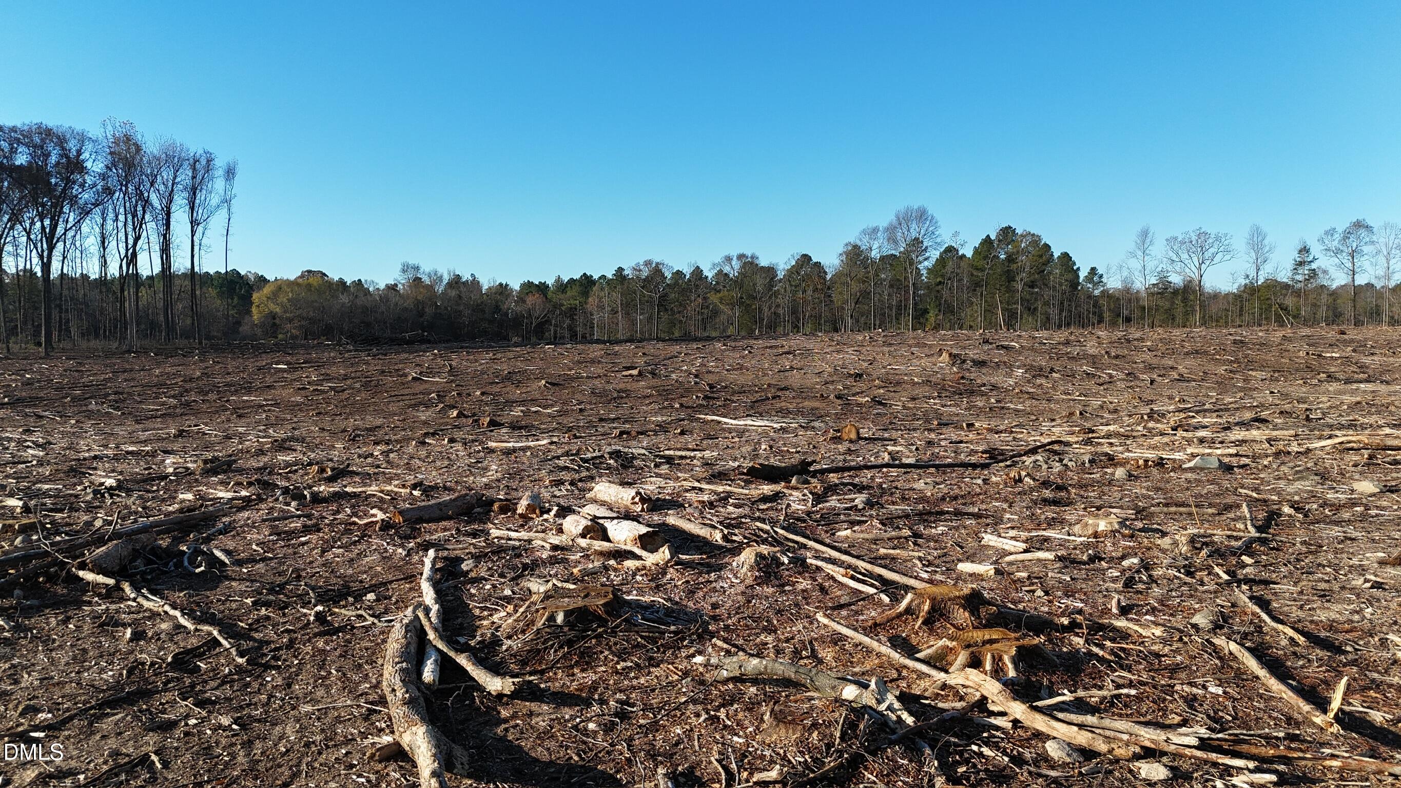1604 Bonlee School Road Bear Creek, NC 27207 - Photo 23 of 71 a view of a large yard