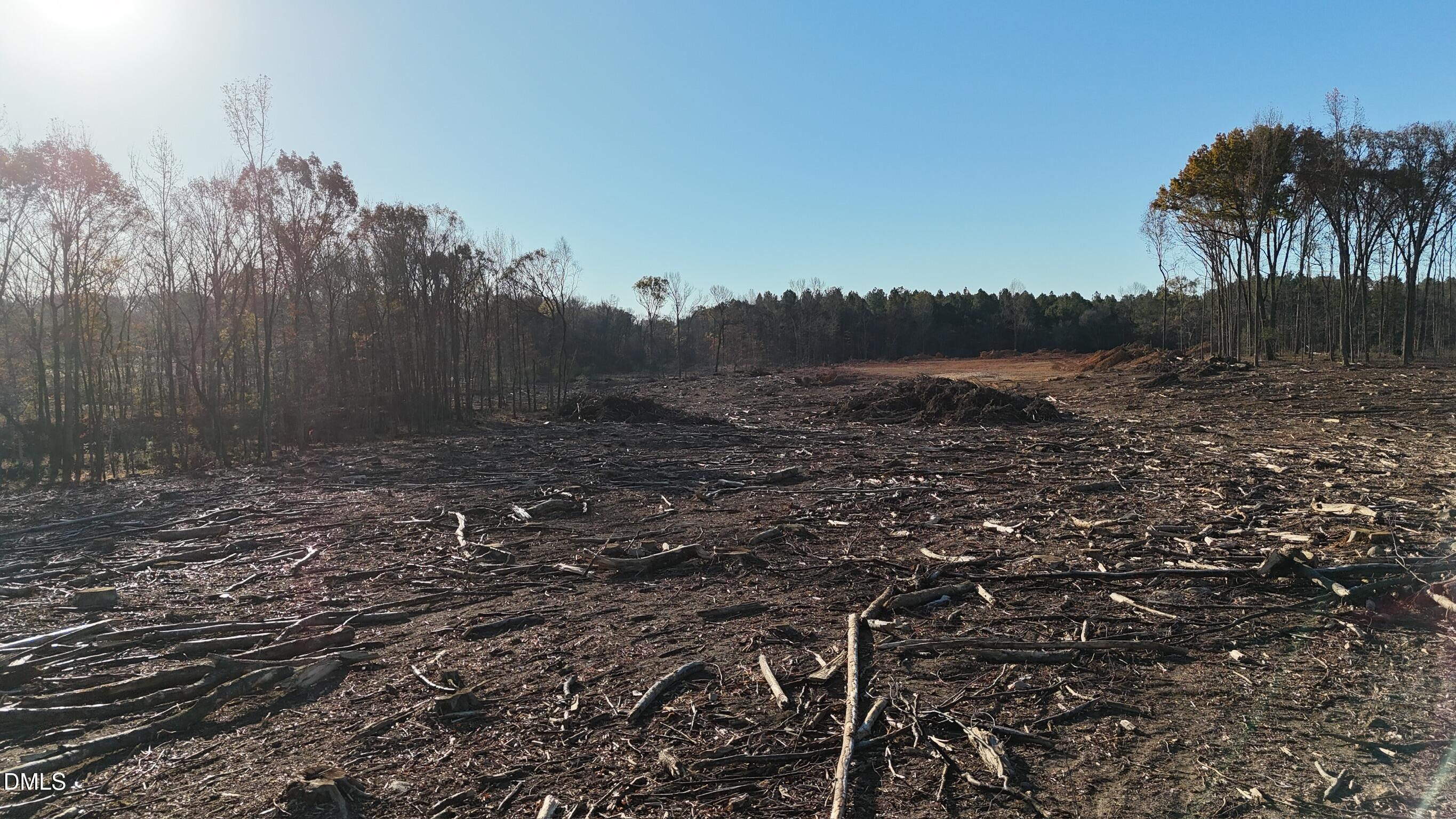 1604 Bonlee School Road Bear Creek, NC 27207 - Photo 24 of 71 a view of a yard