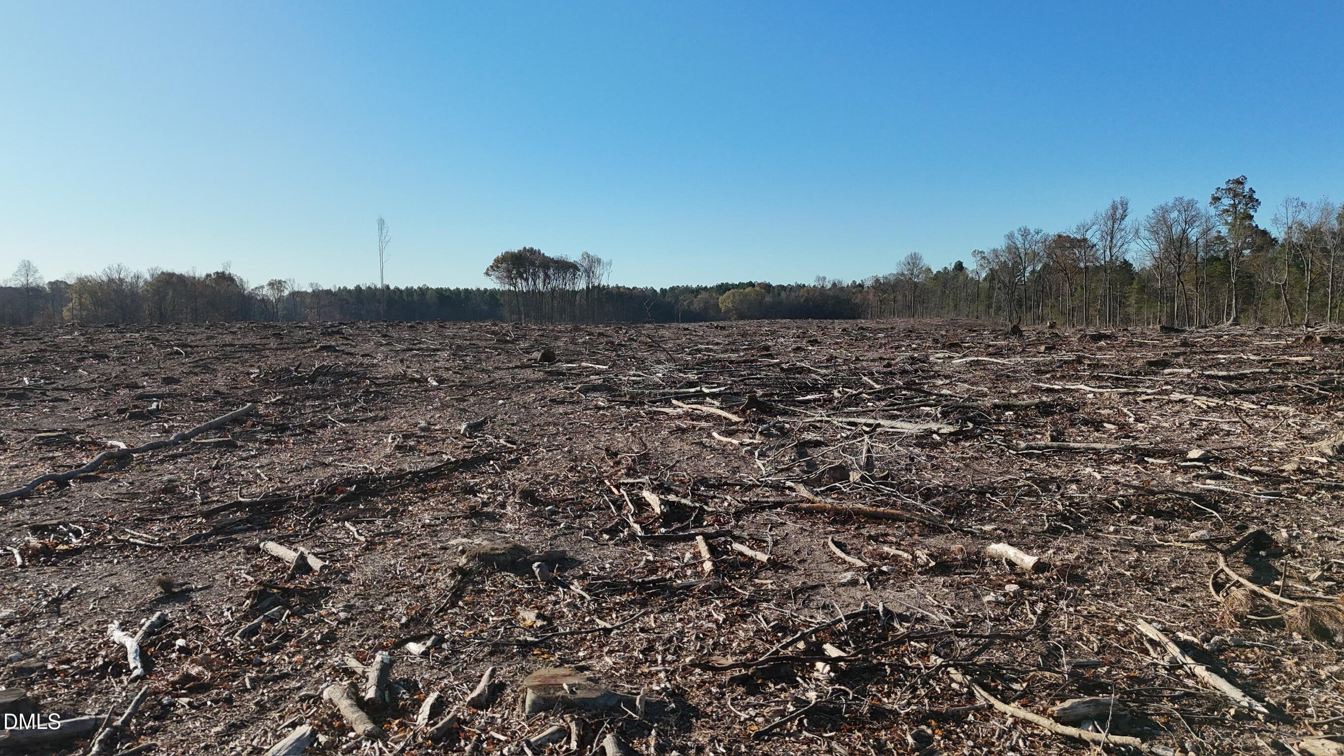 1604 Bonlee School Road Bear Creek, NC 27207 - Photo 26 of 71 a view of a large tree with green field and trees