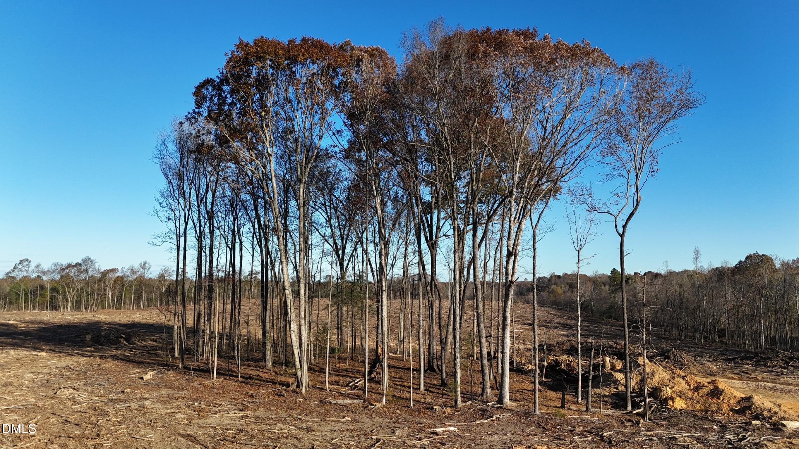 1604 Bonlee School Road Bear Creek, NC 27207 - Photo 27 of 71 a view of a outdoor space