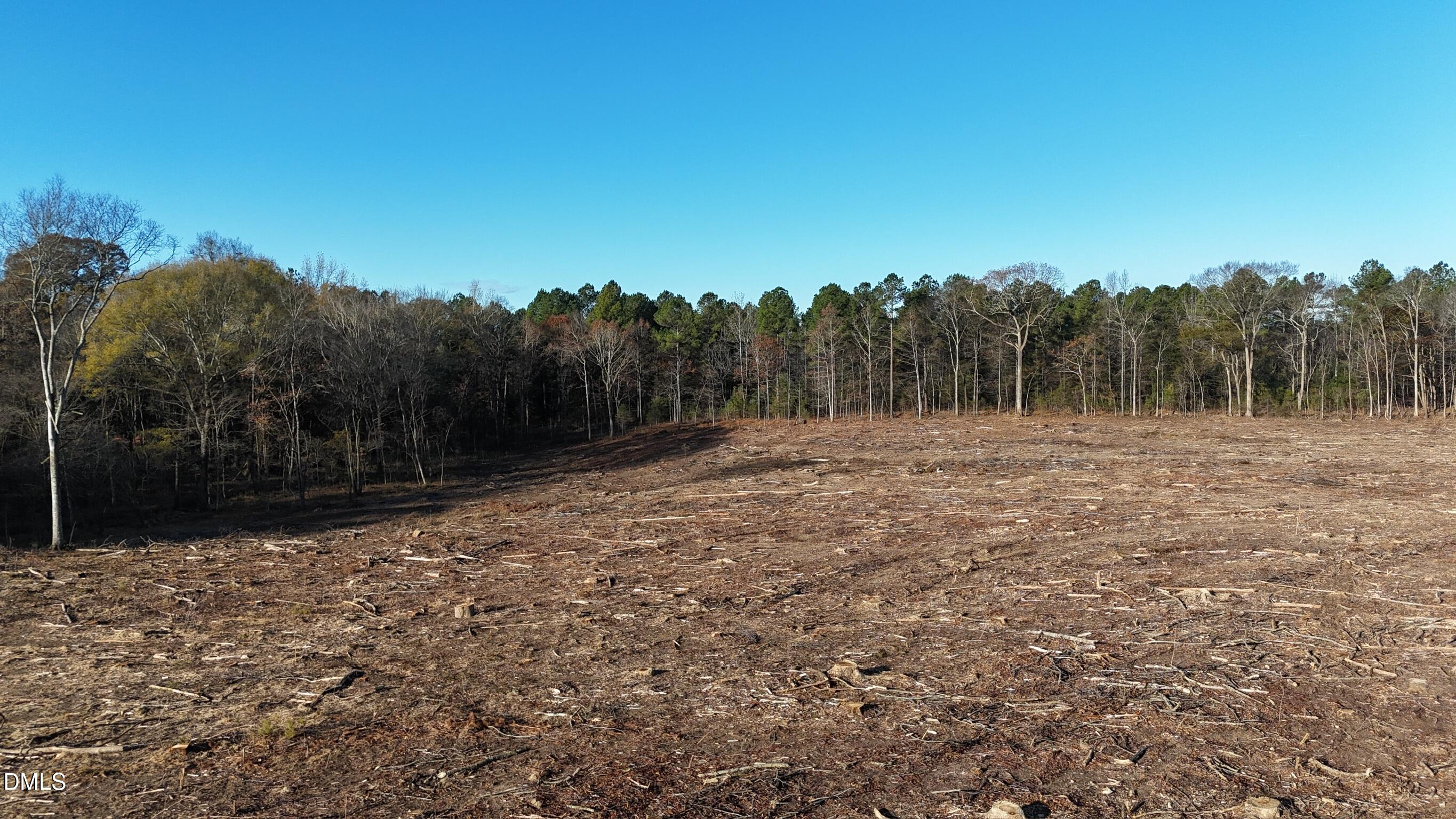 1604 Bonlee School Road Bear Creek, NC 27207 - Photo 29 of 71 a backyard of a house with lots of green space
