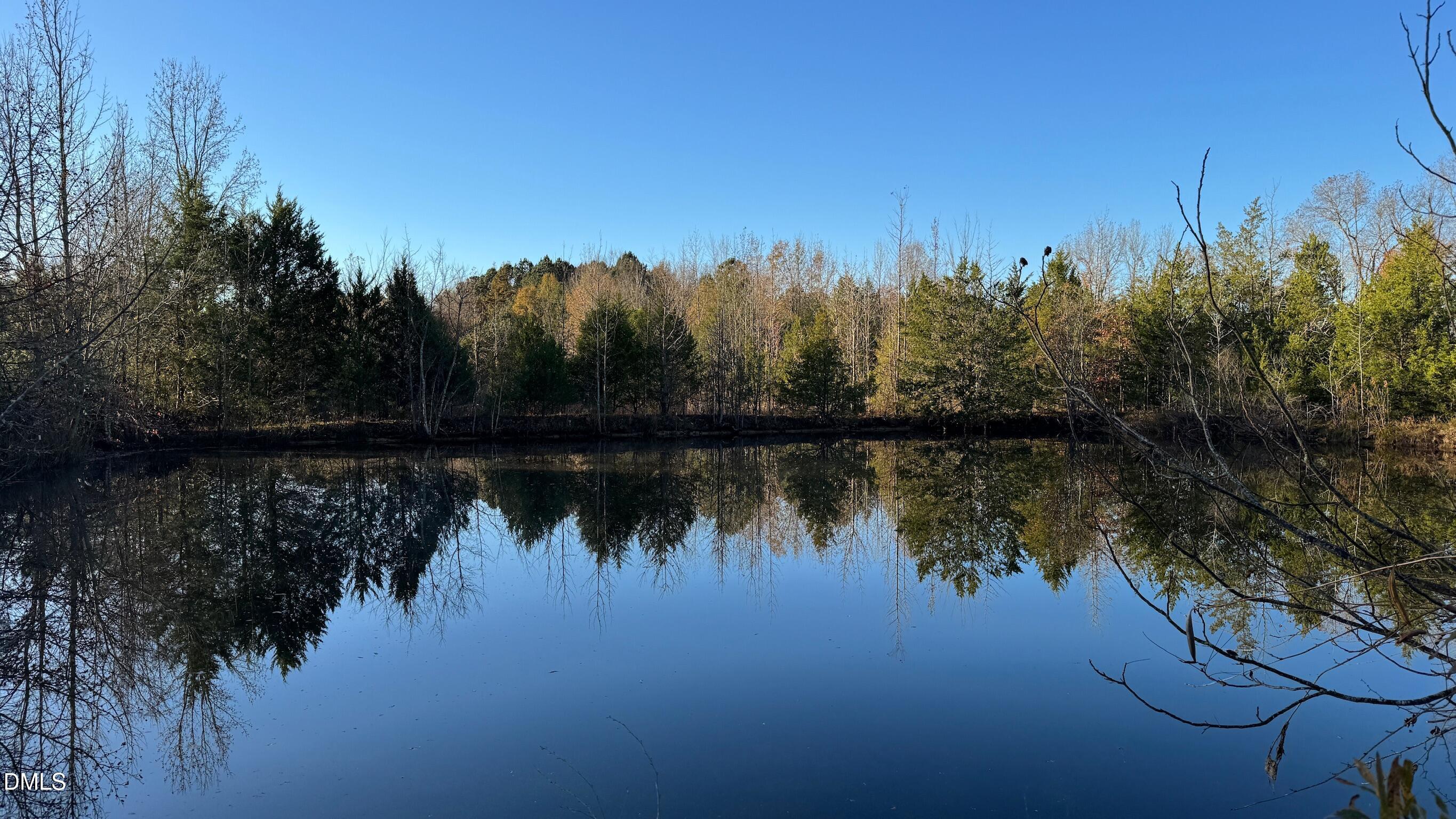 1604 Bonlee School Road Bear Creek, NC 27207 - Photo 31 of 71 IMG_5259