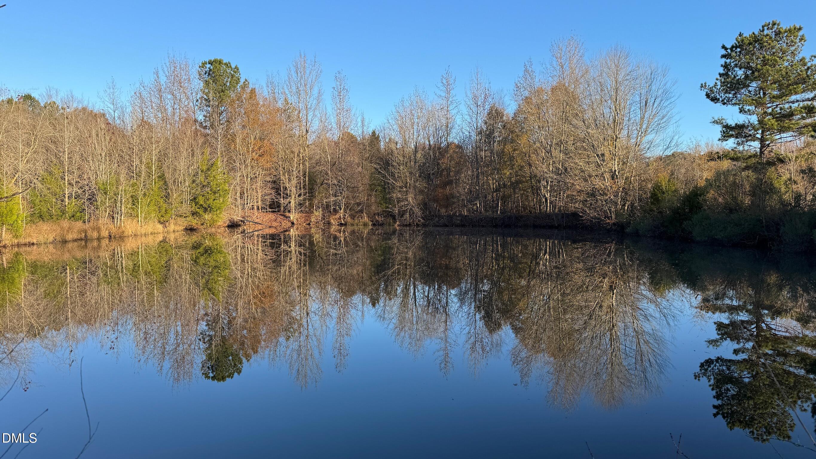 1604 Bonlee School Road Bear Creek, NC 27207 - Photo 32 of 71 IMG_5260