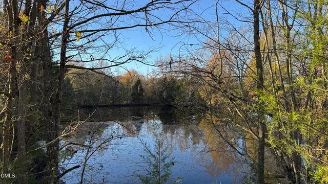 a view of backyard with tree