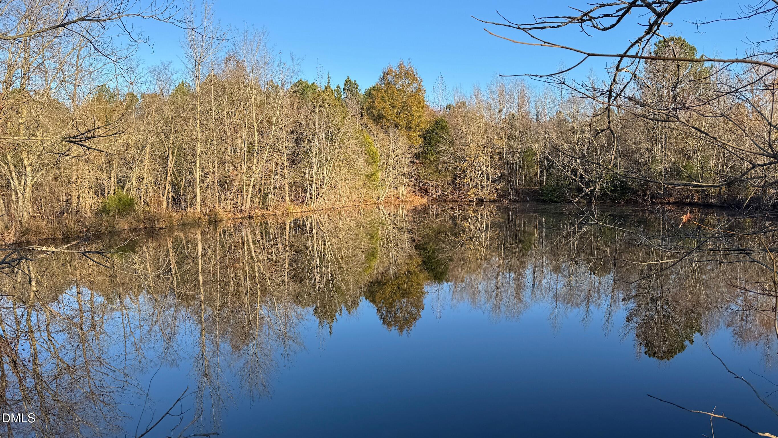 1604 Bonlee School Road Bear Creek, NC 27207 - Photo 35 of 71 a view of a lake