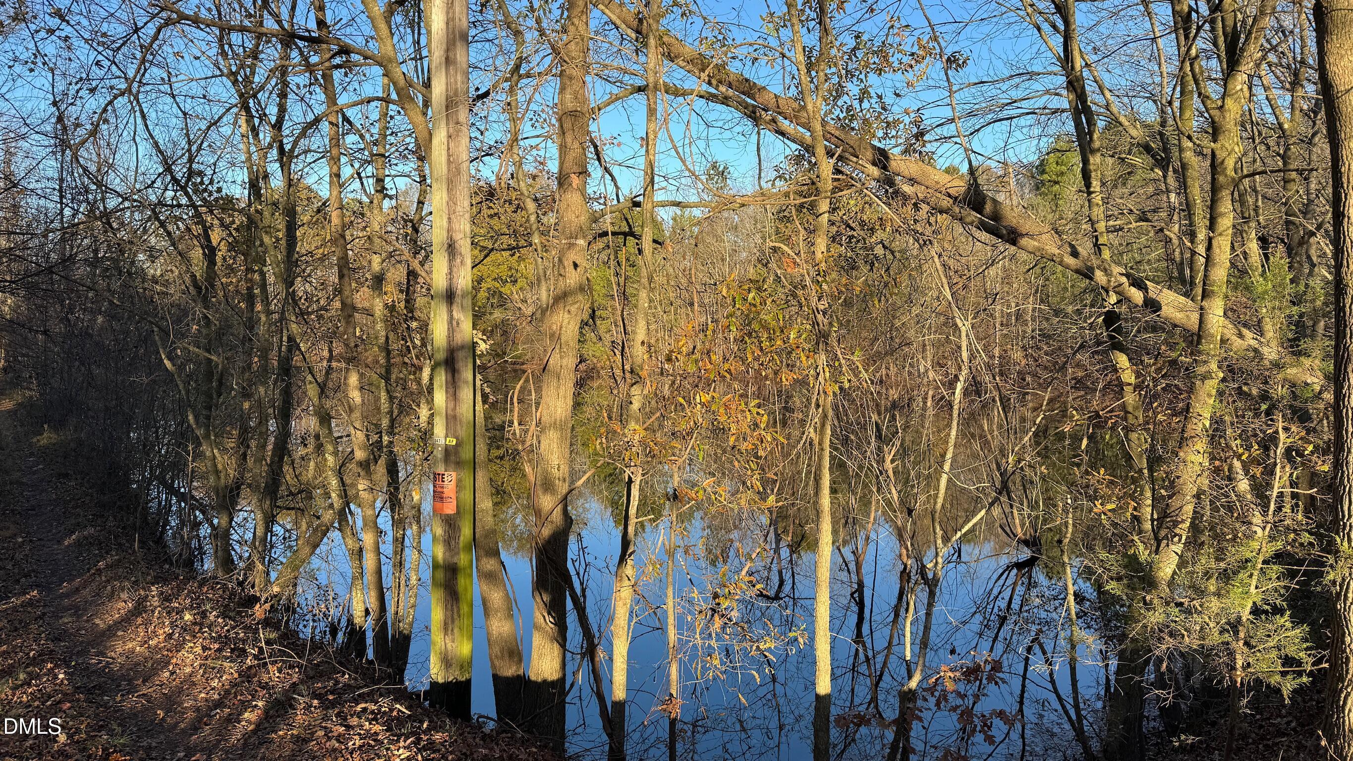1604 Bonlee School Road Bear Creek, NC 27207 - Photo 38 of 71 a view of small yard