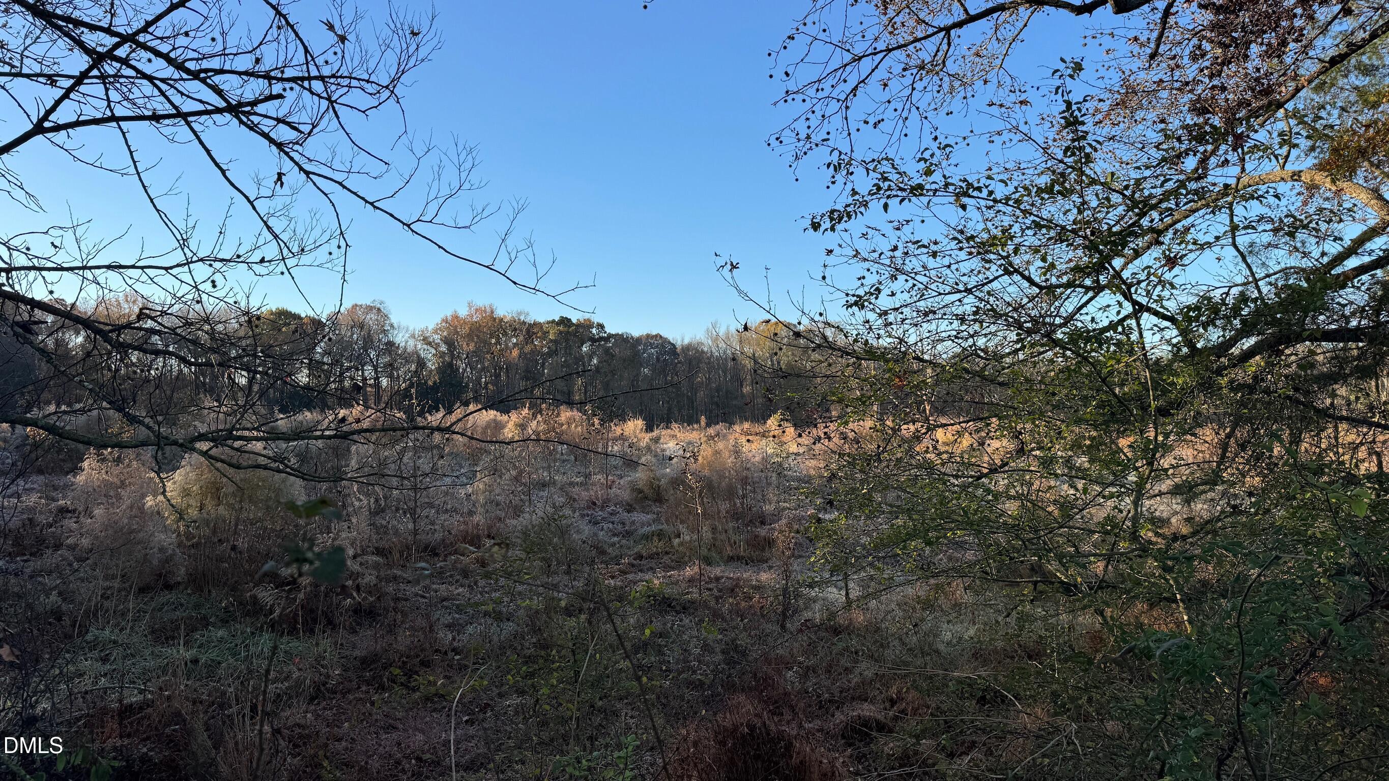1604 Bonlee School Road Bear Creek, NC 27207 - Photo 39 of 71 a view of a forest filled with trees